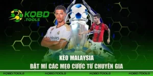 Kèo Malaysia - Bật Mí Các Mẹo Cược Từ Chuyên Gia Trong Giới 9 keo malaysia dai dien 1
